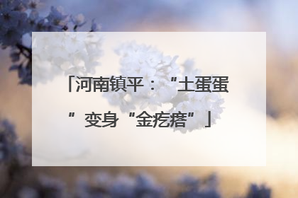 河南镇平：“土蛋蛋”变身“金疙瘩”