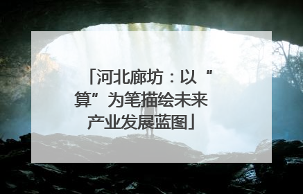 河北廊坊：以“算”为笔描绘未来产业发展蓝图
