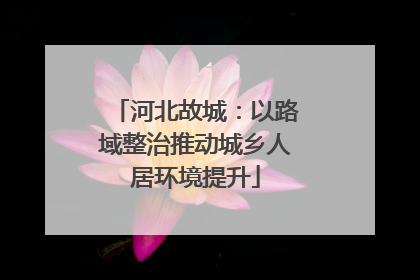 河北故城：以路域整治推动城乡人居环境提升