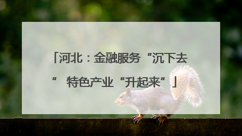 河北：金融服务“沉下去” 特色产业“升起来”