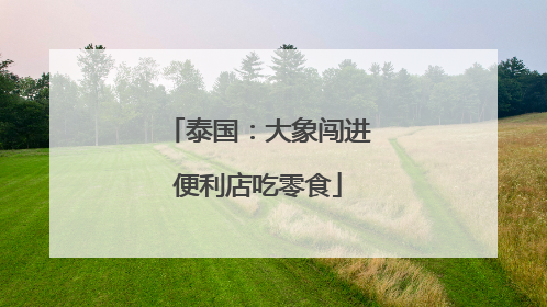 泰国：大象闯进便利店吃零食