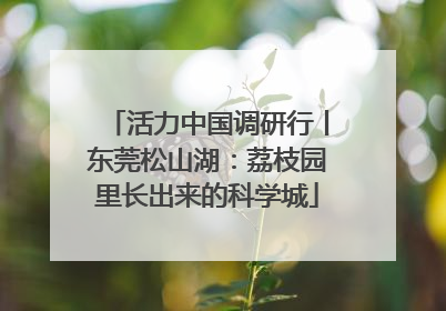 活力中国调研行丨东莞松山湖：荔枝园里长出来的科学城
