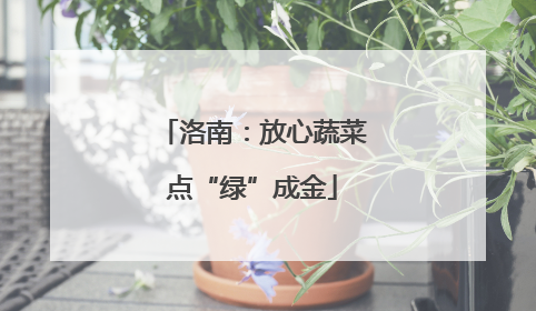 洛南：放心蔬菜点“绿”成金