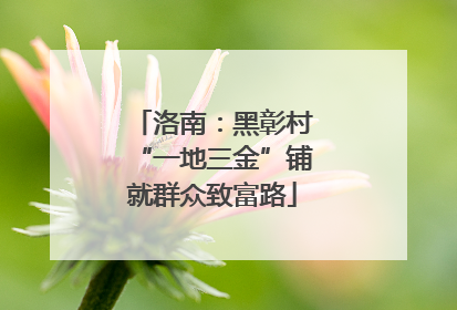 洛南：黑彰村“一地三金”铺就群众致富路