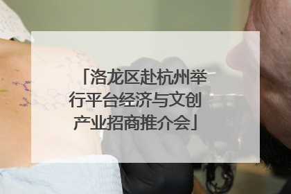 洛龙区赴杭州举行平台经济与文创产业招商推介会