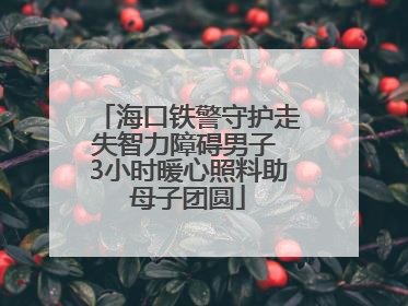海口铁警守护走失智力障碍男子 3小时暖心照料助母子团圆