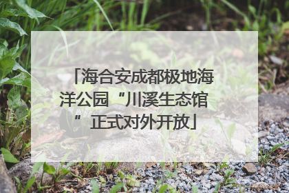海合安成都极地海洋公园“川溪生态馆”正式对外开放