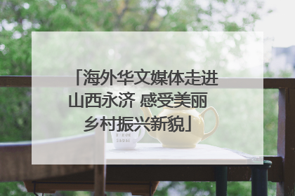 海外华文媒体走进山西永济 感受美丽乡村振兴新貌