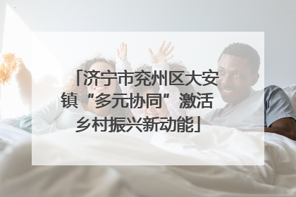 济宁市兖州区大安镇“多元协同”激活乡村振兴新动能