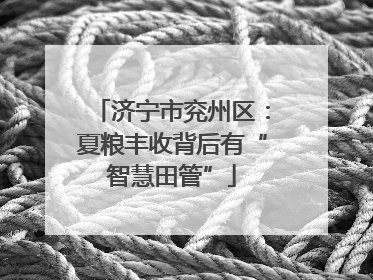 济宁市兖州区：夏粮丰收背后有“智慧田管”