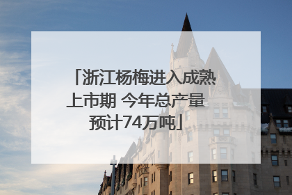 浙江杨梅进入成熟上市期 今年总产量预计74万吨