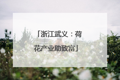 浙江武义：荷花产业助致富
