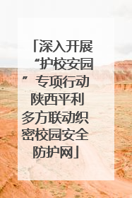 深入开展“护校安园”专项行动 陕西平利多方联动织密校园安全防护网