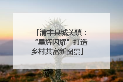 清丰县城关镇：“星辉闪耀”打造乡村共富新图景