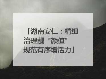 湖南安仁：精细治理靓“颜值” 规范有序增活力