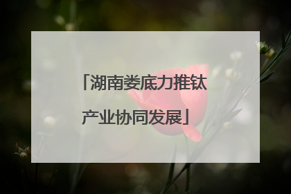 湖南娄底力推钛产业协同发展