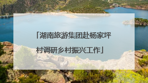 湖南旅游集团赴杨家坪村调研乡村振兴工作