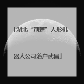 湖北“荆楚”人形机器人公司落户武昌