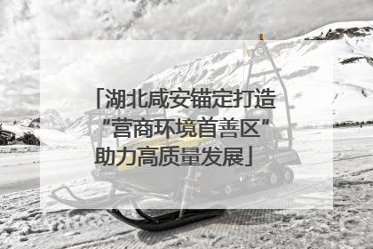 湖北咸安锚定打造“营商环境首善区”助力高质量发展