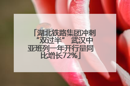 湖北铁路集团冲刺“双过半” 武汉中亚班列一年开行量同比增长72%