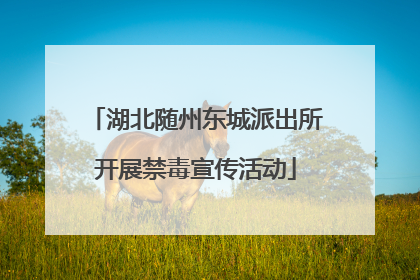 湖北随州东城派出所开展禁毒宣传活动