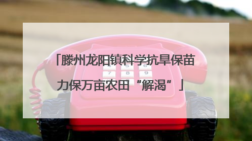 滕州龙阳镇科学抗旱保苗 力保万亩农田“解渴”