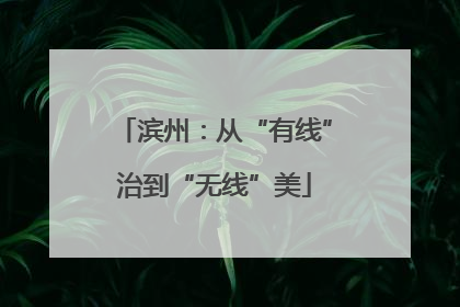 滨州：从“有线”治到“无线”美