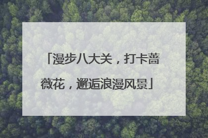 漫步八大关，打卡蔷薇花，邂逅浪漫风景