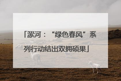 漯河：“绿色春风”系列行动结出双拥硕果