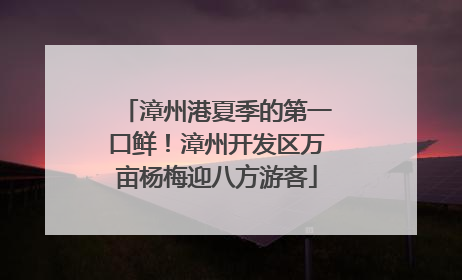 漳州港夏季的第一口鲜！漳州开发区万亩杨梅迎八方游客