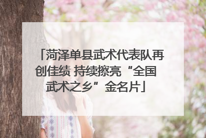 菏泽单县武术代表队再创佳绩 持续擦亮“全国武术之乡”金名片