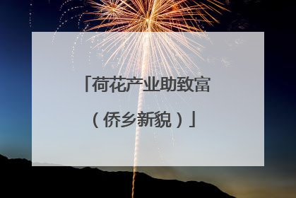 荷花产业助致富（侨乡新貌）