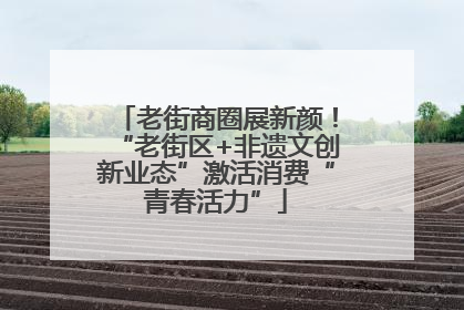 老街商圈展新颜！“老街区+非遗文创新业态”激活消费“青春活力”