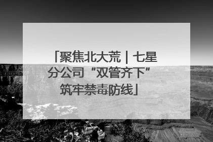 聚焦北大荒｜七星分公司“双管齐下”筑牢禁毒防线