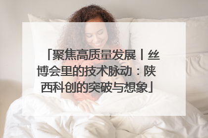 聚焦高质量发展丨丝博会里的技术脉动：陕西科创的突破与想象