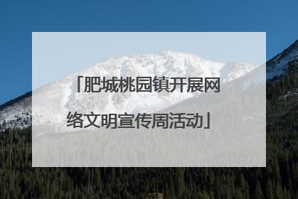 肥城桃园镇开展网络文明宣传周活动