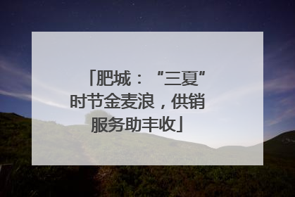 肥城：“三夏”时节金麦浪，供销服务助丰收
