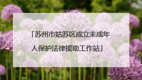 苏州市姑苏区成立未成年人保护法律援助工作站