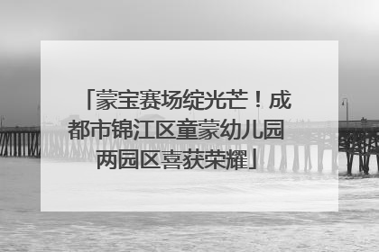 蒙宝赛场绽光芒！成都市锦江区童蒙幼儿园两园区喜获荣耀