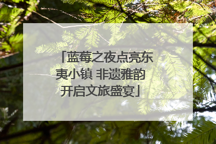 蓝莓之夜点亮东夷小镇 非遗雅韵开启文旅盛宴