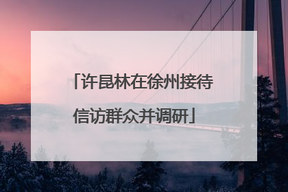 许昆林在徐州接待信访群众并调研