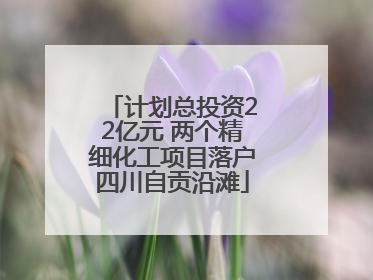 计划总投资22亿元 两个精细化工项目落户四川自贡沿滩