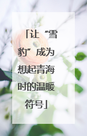 让“雪豹”成为想起青海时的温暖符号