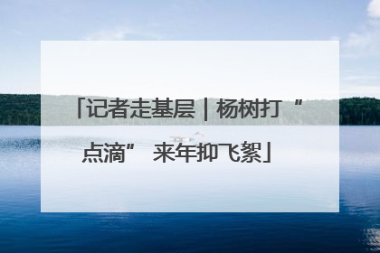 记者走基层｜杨树打“点滴” 来年抑飞絮