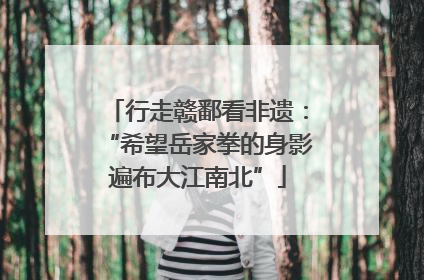 行走赣鄱看非遗：“希望岳家拳的身影遍布大江南北”
