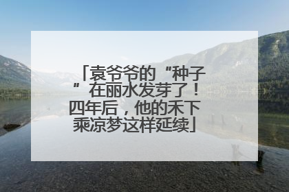 袁爷爷的“种子”在丽水发芽了！四年后，他的禾下乘凉梦这样延续