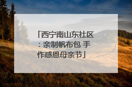 西宁南山东社区：亲制帆布包 手作感恩母亲节