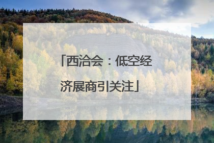 西洽会：低空经济展商引关注