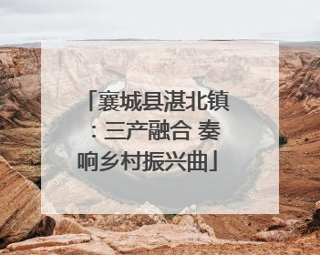 襄城县湛北镇：三产融合 奏响乡村振兴曲
