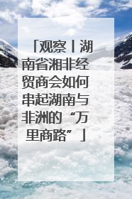 观察丨湖南省湘非经贸商会如何串起湖南与非洲的“万里商路”